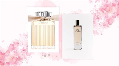 perfume similar to chloe innocence|zara chloe signature dupe.